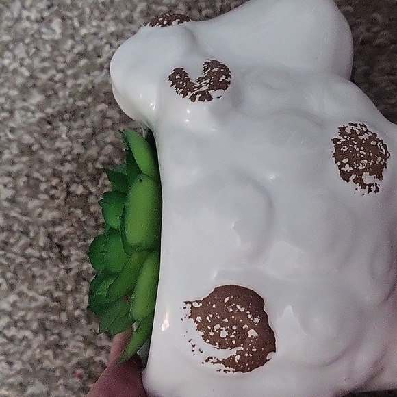 Ridgecut Toughwear Women Jacket Combo - Picture 13 of 14